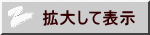 拡大して表示